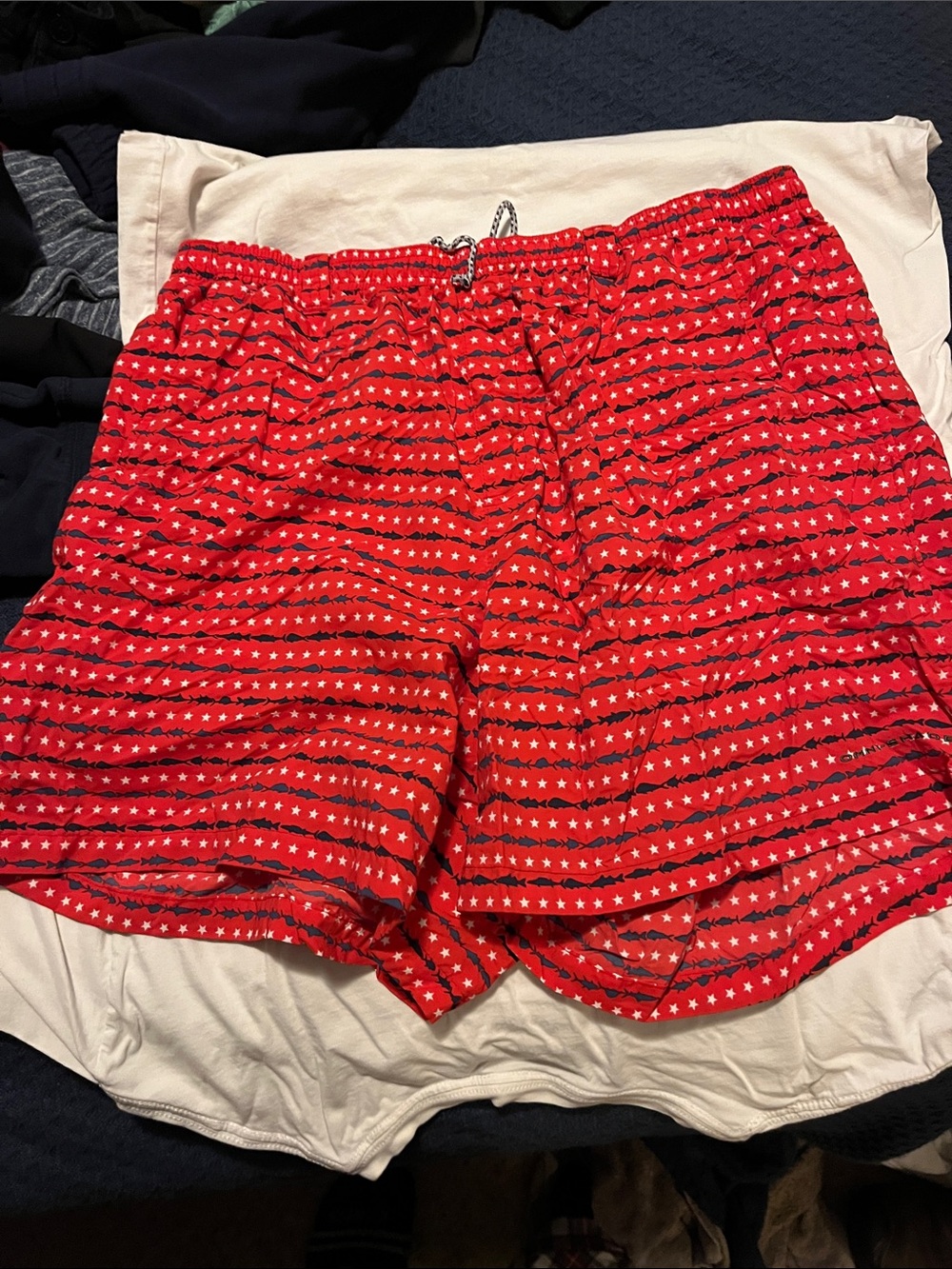Columbia Red Star-Stripe Swim in Shorts 5 in inseam